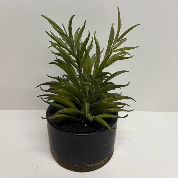 Threshold Potted Faux Succulent Plant Indoor Plant Porch Decor - Picture 5 of 7